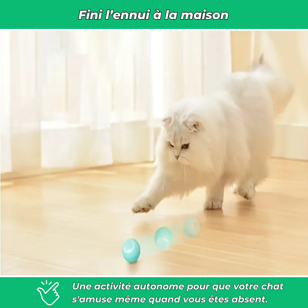 Balle interactive automatique pour chats