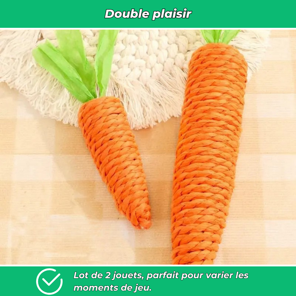 Lot de 2 jouets carotte pour chat – interactifs avec cloche intégrée
