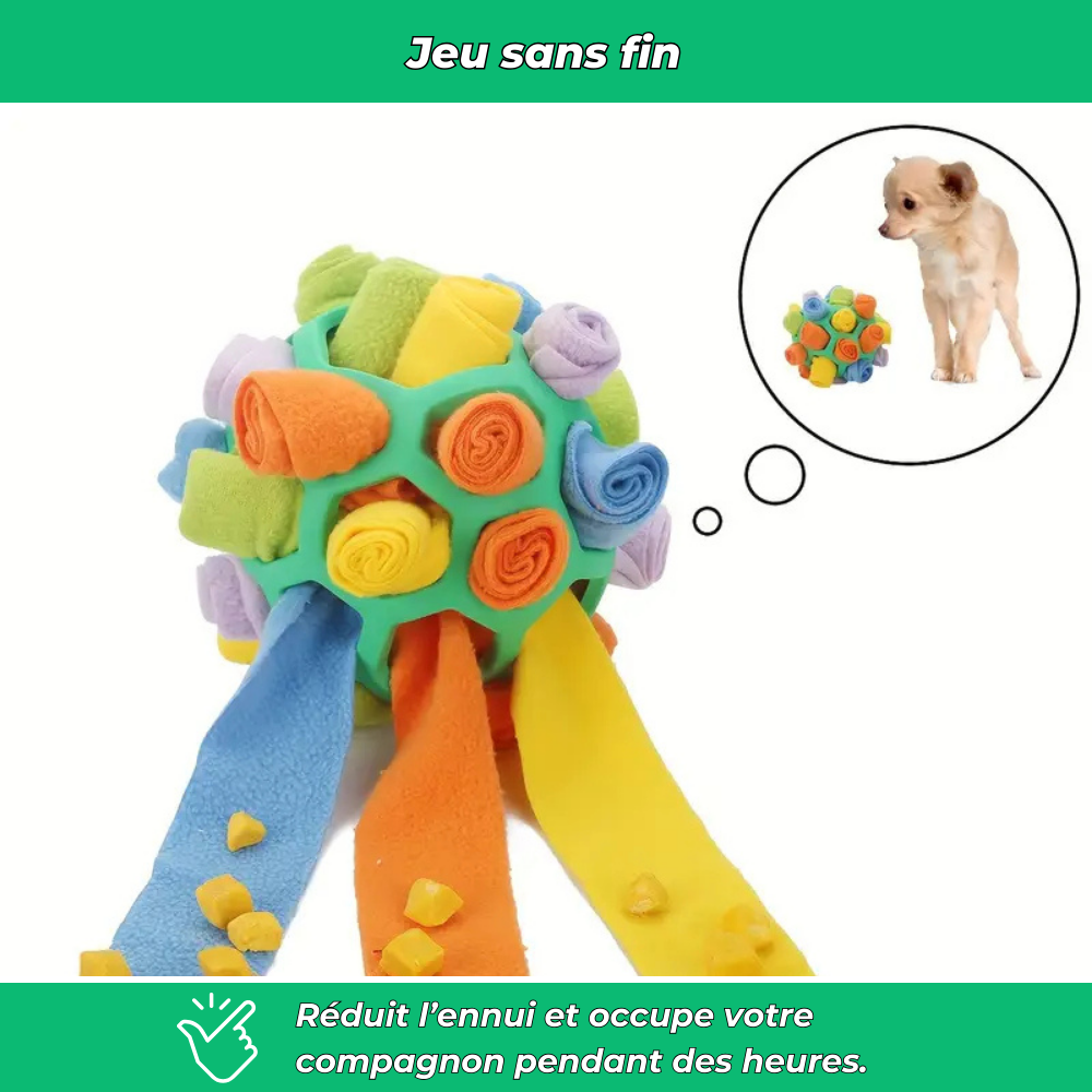 Balle distributrice de friandises pour chien – Jouet interactif et éducatif