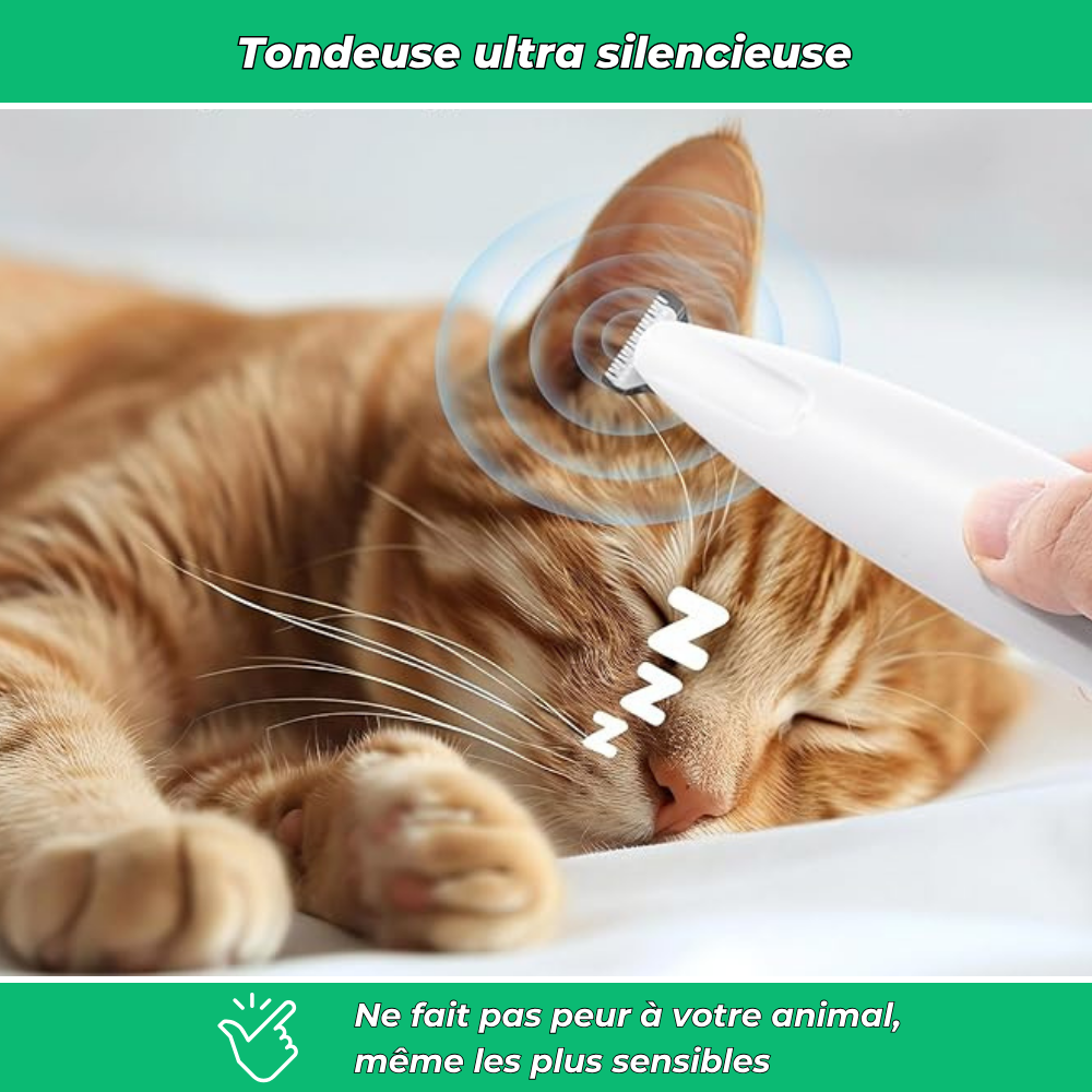 Tondeuse silencieuse multi-zones pour chiens et chats