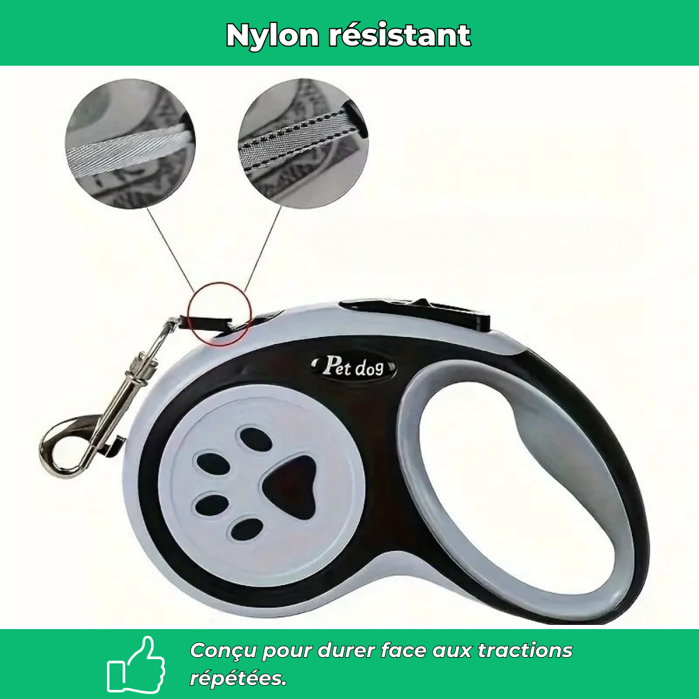 Laisse rétractable pour chien – Nylon durable avec frein à un bouton, idéale petits et moyens chiens