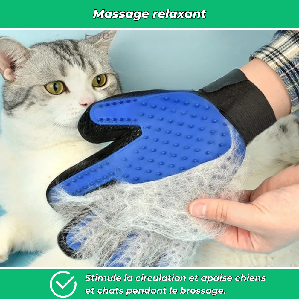 Gants de toilettage pour chiens et chats – Éliminent poils morts et massent la peau