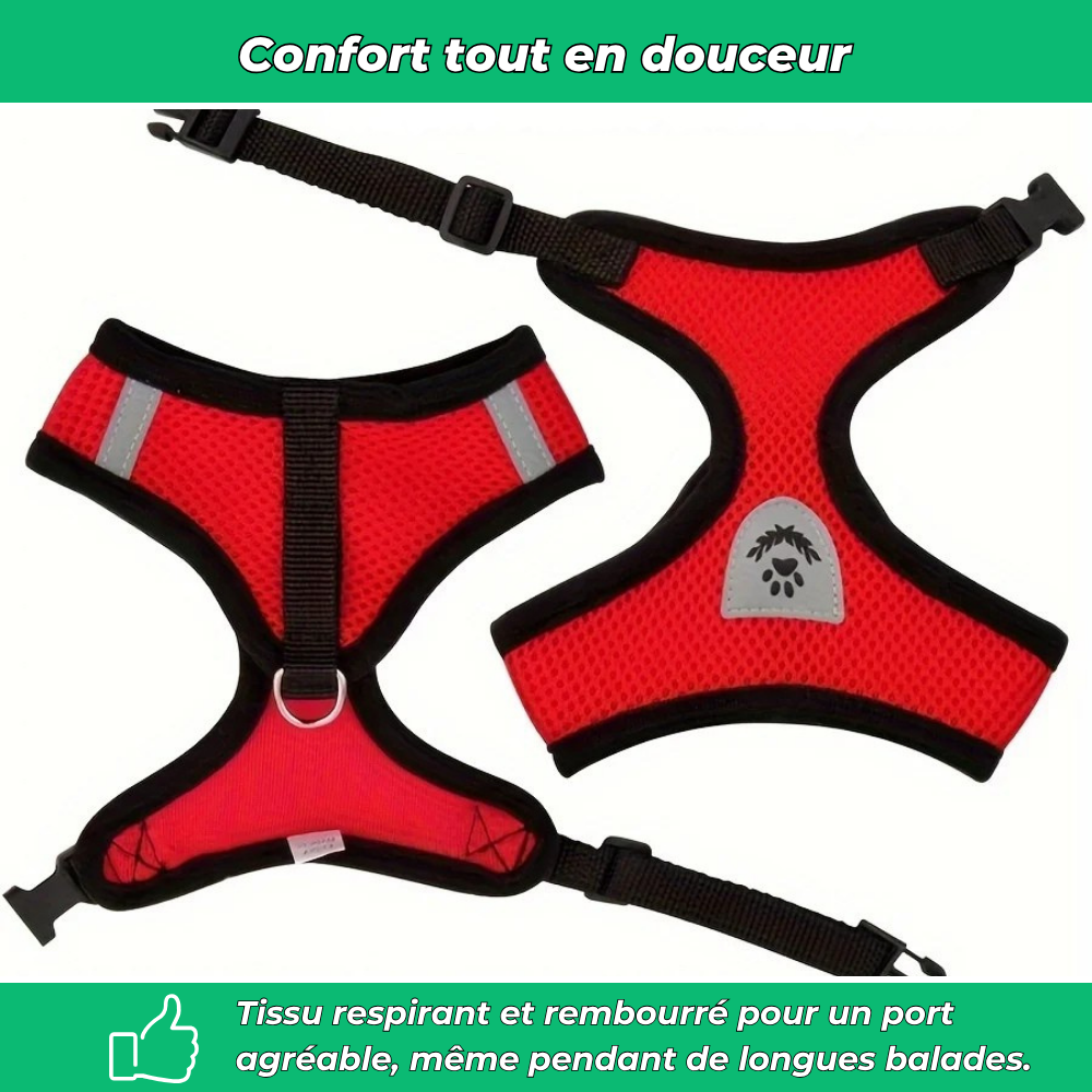 HARNAIS CULOTTE PROLIMIT CRUISER - Action Fun Lorient HARNAIS CULOTTE PROLIMIT CRUISER - Action Fun Lorient