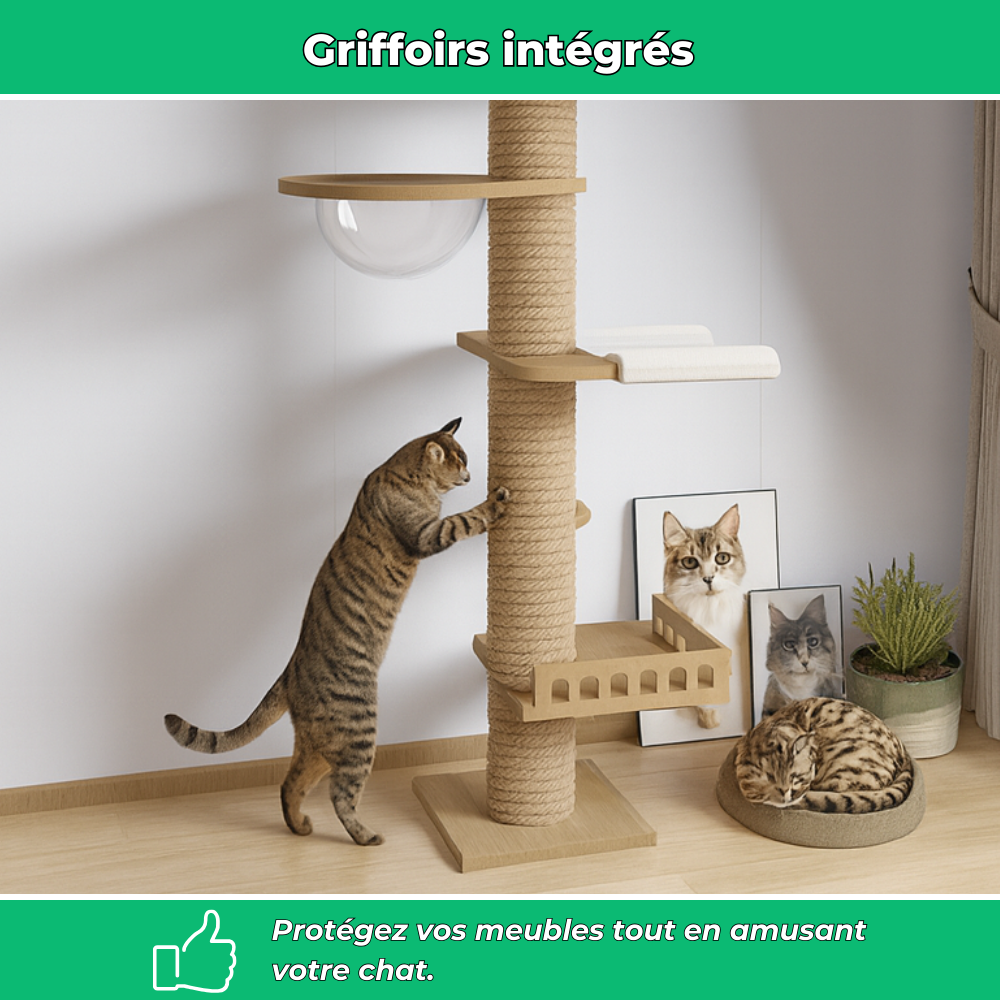 Arbre à chat plafond réglable avec hamac et griffoirs – Condo multi-niveaux pour chat