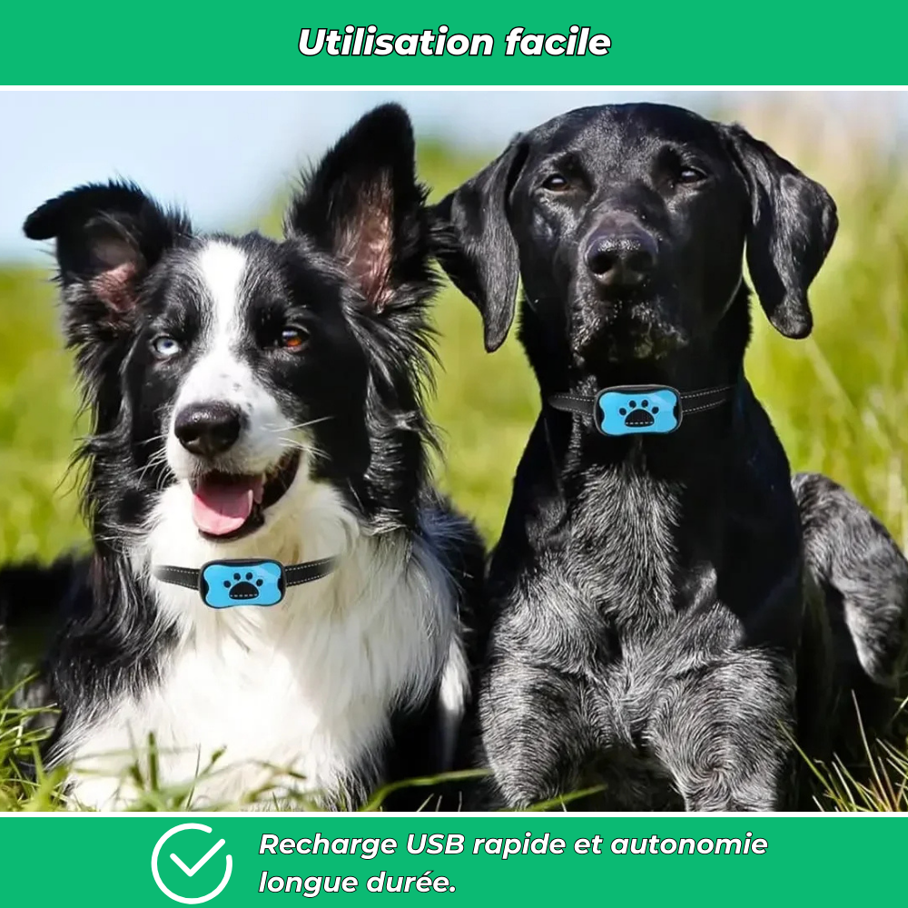 Collier anti-aboiement chien – Intelligent, réglable et rechargeable USB, sans choc