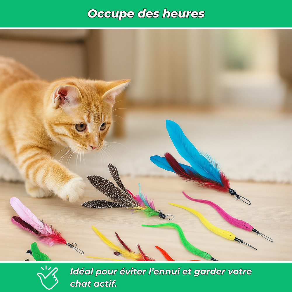 Lot 12 jouets interactifs pour chat avec plumes et bâtons