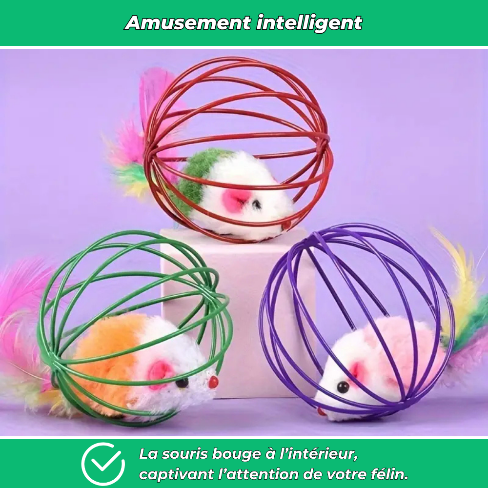 Balle cage interactive avec souris pour chat