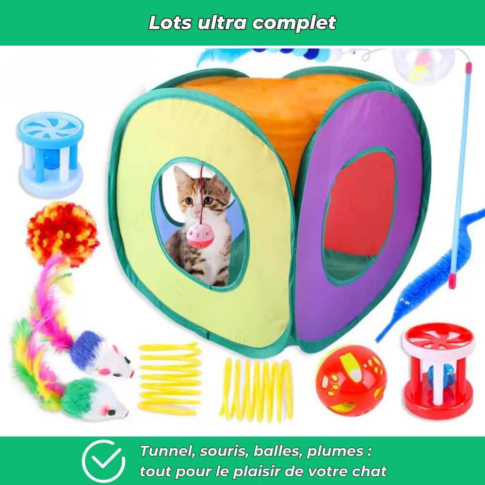 Lot de jouets interactifs pour chat