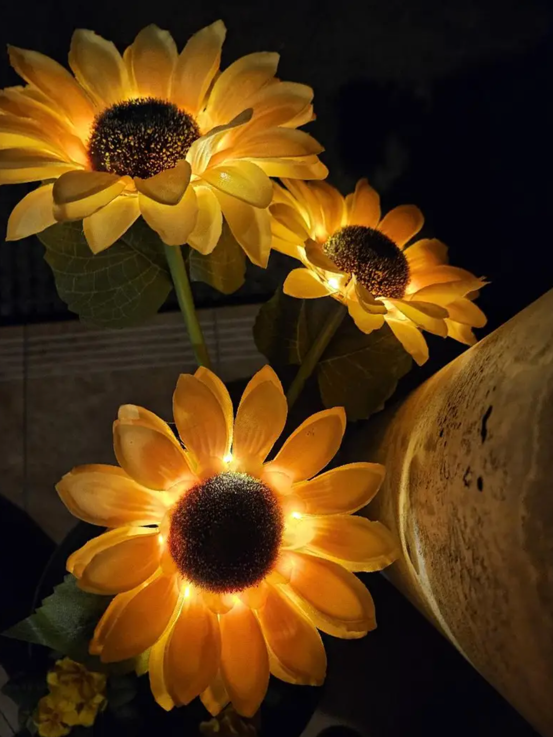 Customer outdoor light review image