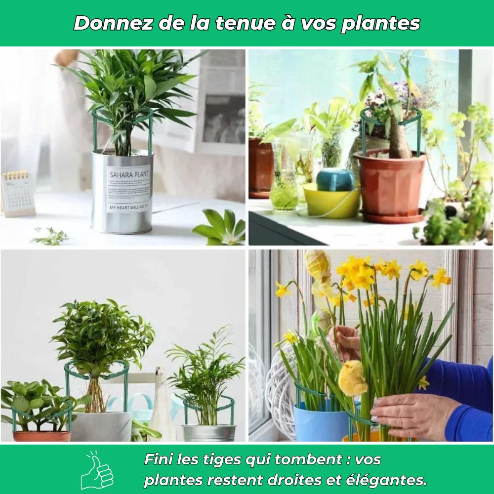 Anneaux de support flexibles pour plantes