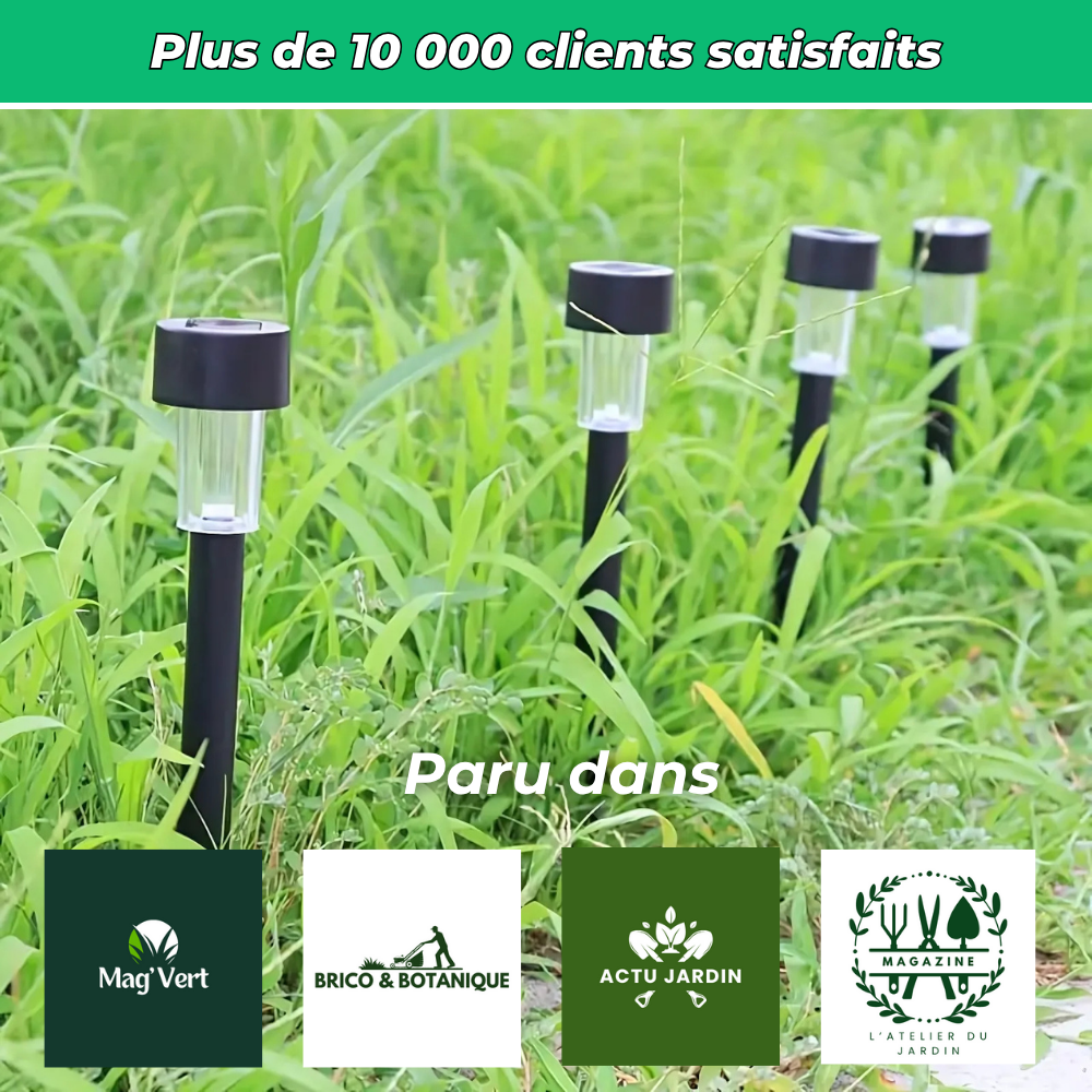 Lot de 10 lampes solaires décoratives pour jardin