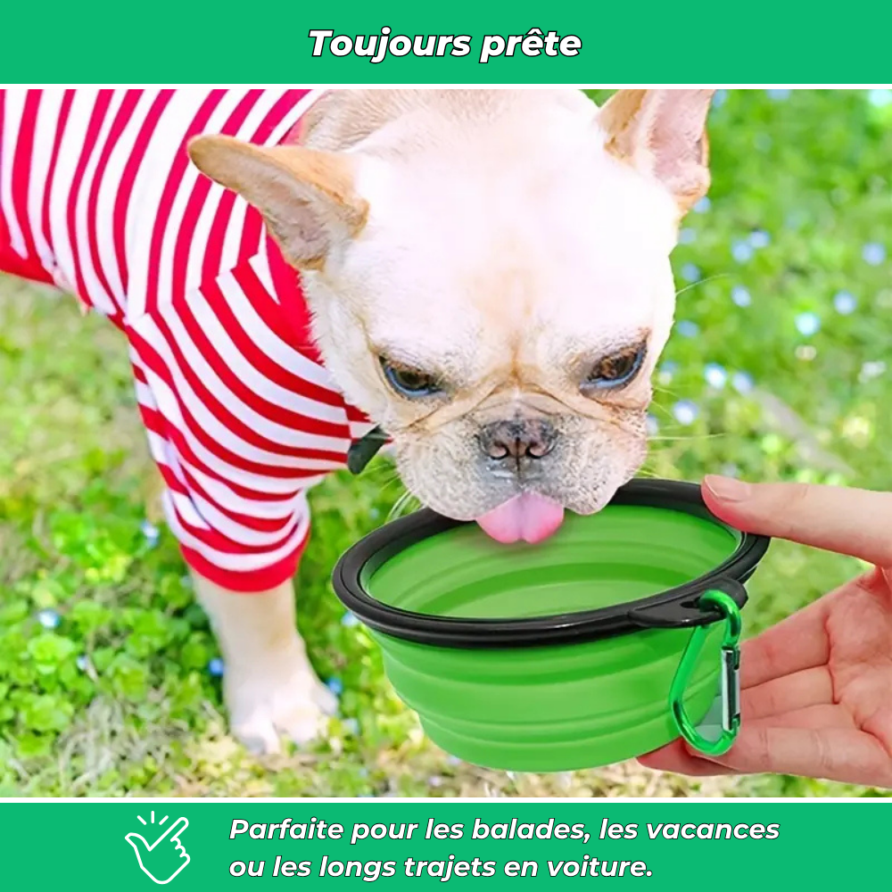 Gamelle pliable pour chiens et chats