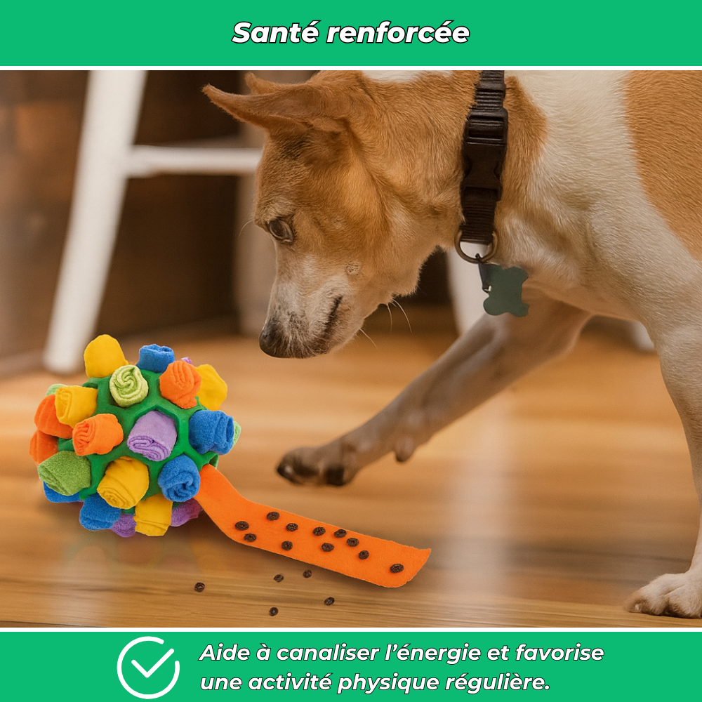 Balle distributrice de friandises pour chien – Jouet interactif et éducatif