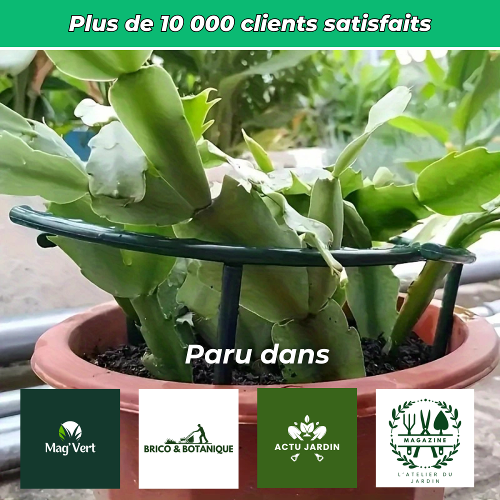 Anneaux de support flexibles pour plantes
