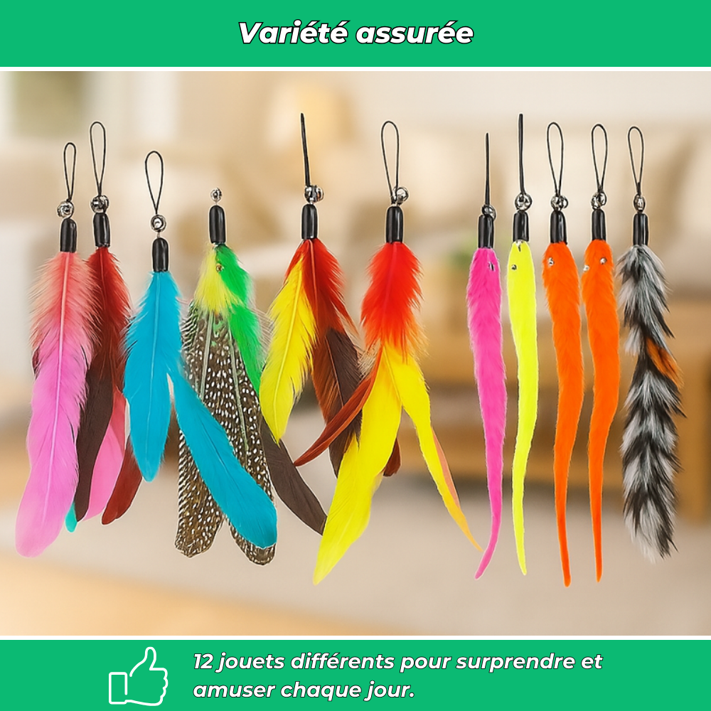 Lot 12 jouets interactifs pour chat avec plumes et bâtons