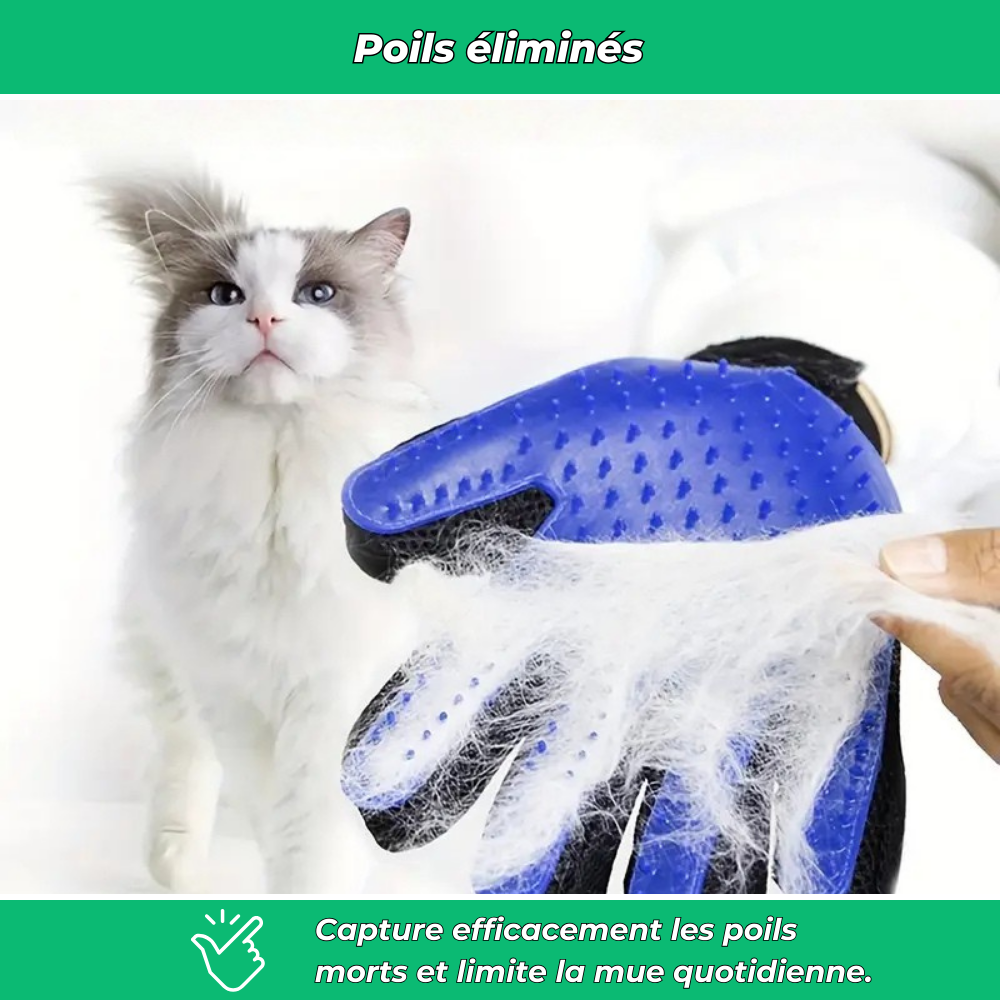 Gants de toilettage pour chiens et chats – Éliminent poils morts et massent la peau