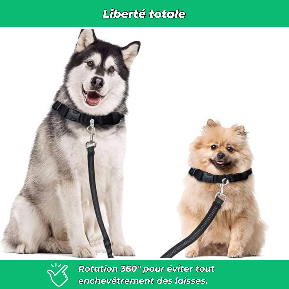 Laisse double pour chiens – Anti-enchevêtrement 360°, réglable et réfléchissante