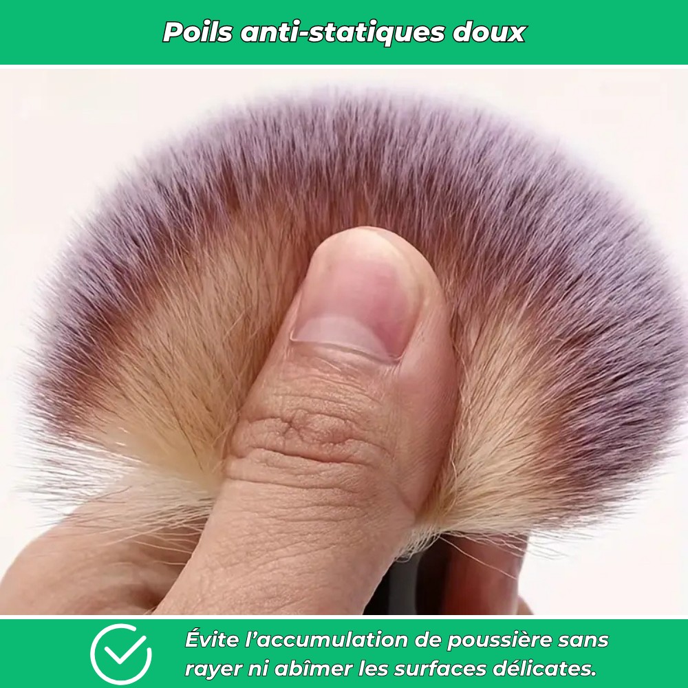 Dust PRO – Kit de 2 brosses anti-poussière pour voiture
