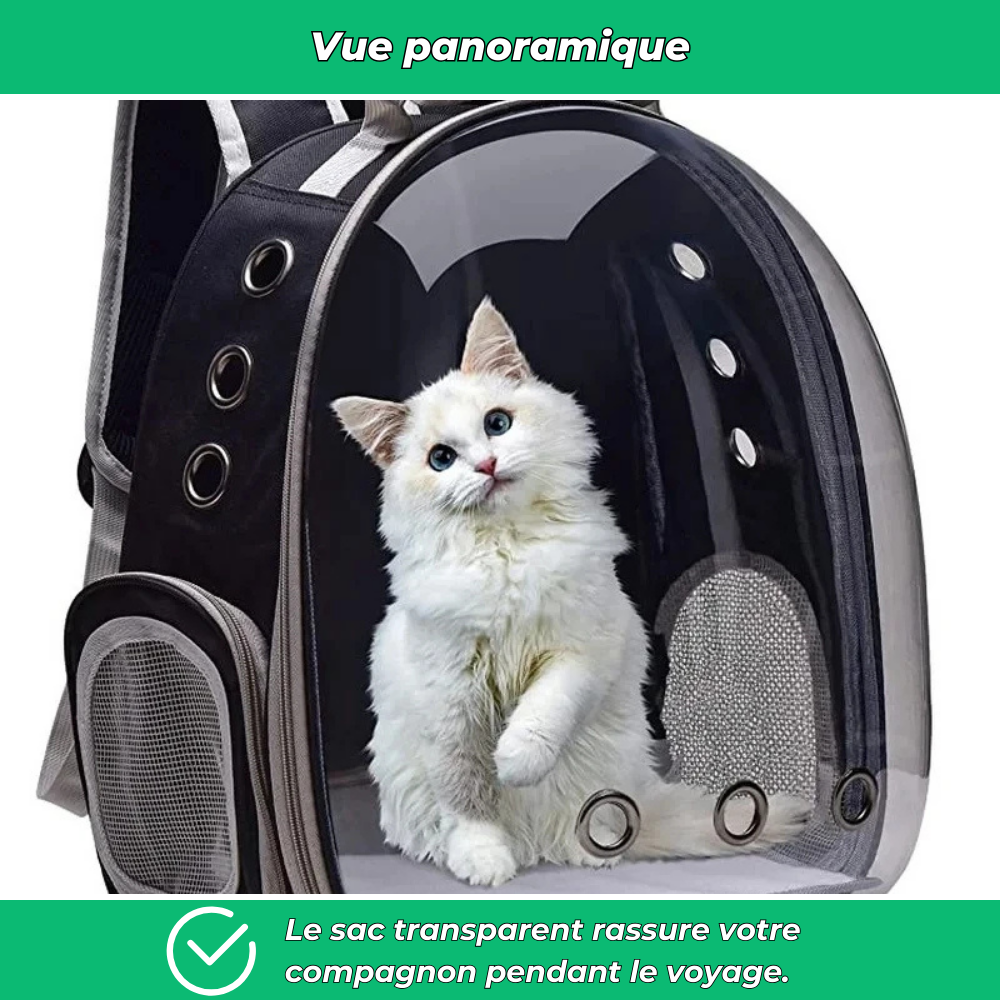 Sac à dos respirant pour chat – Fenêtre transparente et confort de transport