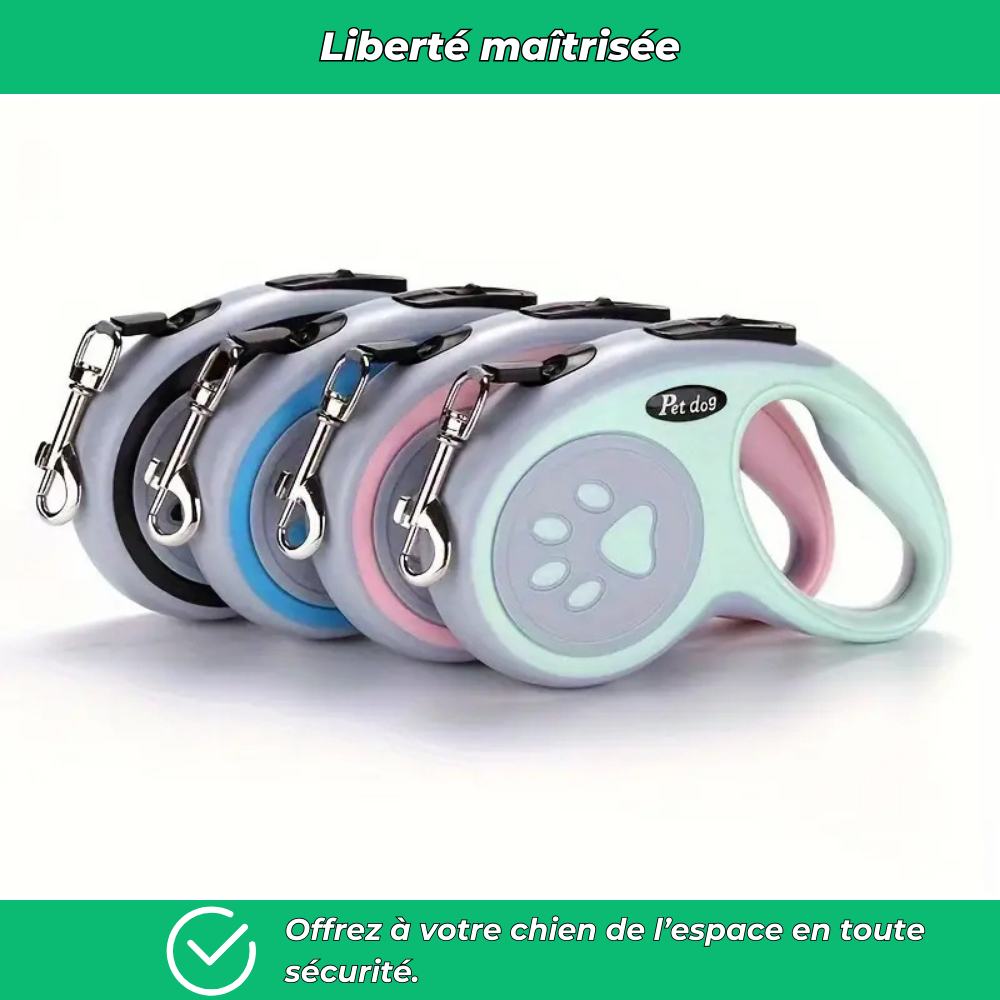 Laisse rétractable pour chien – Nylon durable avec frein à un bouton, idéale petits et moyens chiens