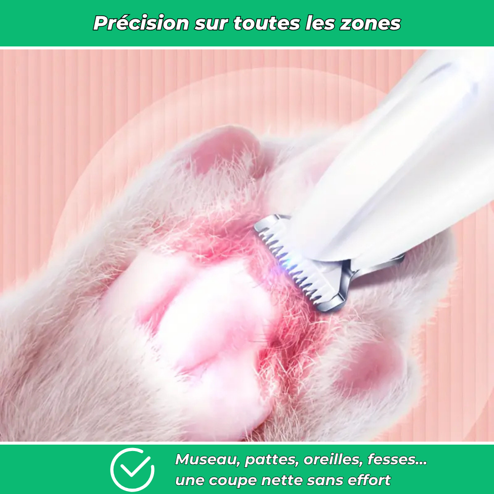 Tondeuse silencieuse multi-zones pour chiens et chats