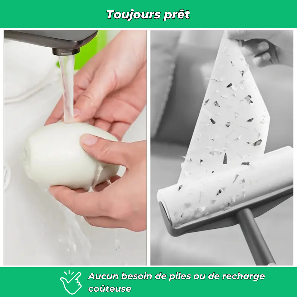 Rouleau capteur de poils réutilisable