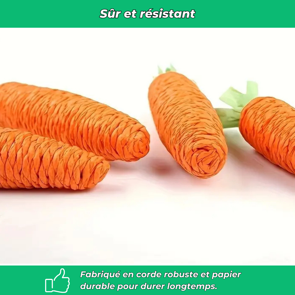 Lot de 2 jouets carotte pour chat – interactifs avec cloche intégrée