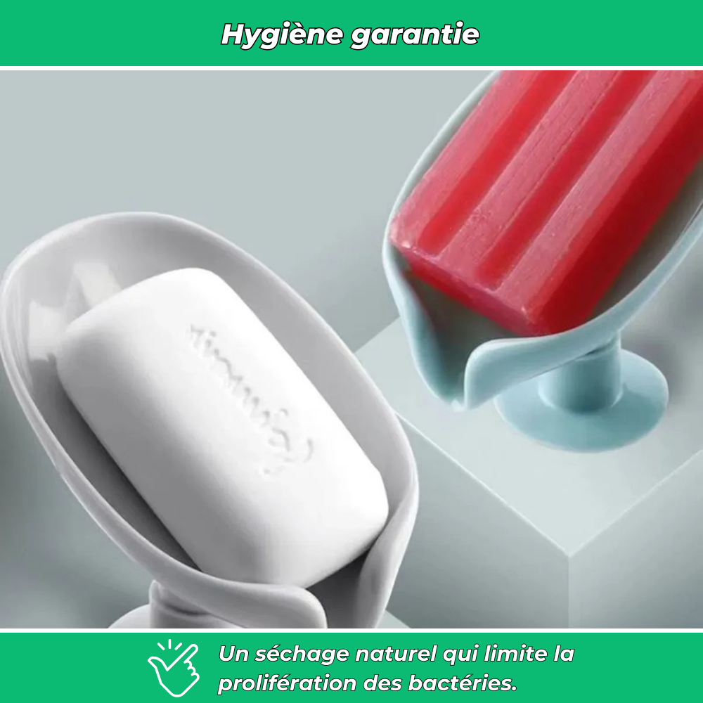 Porte-savon feuille auto-drainant