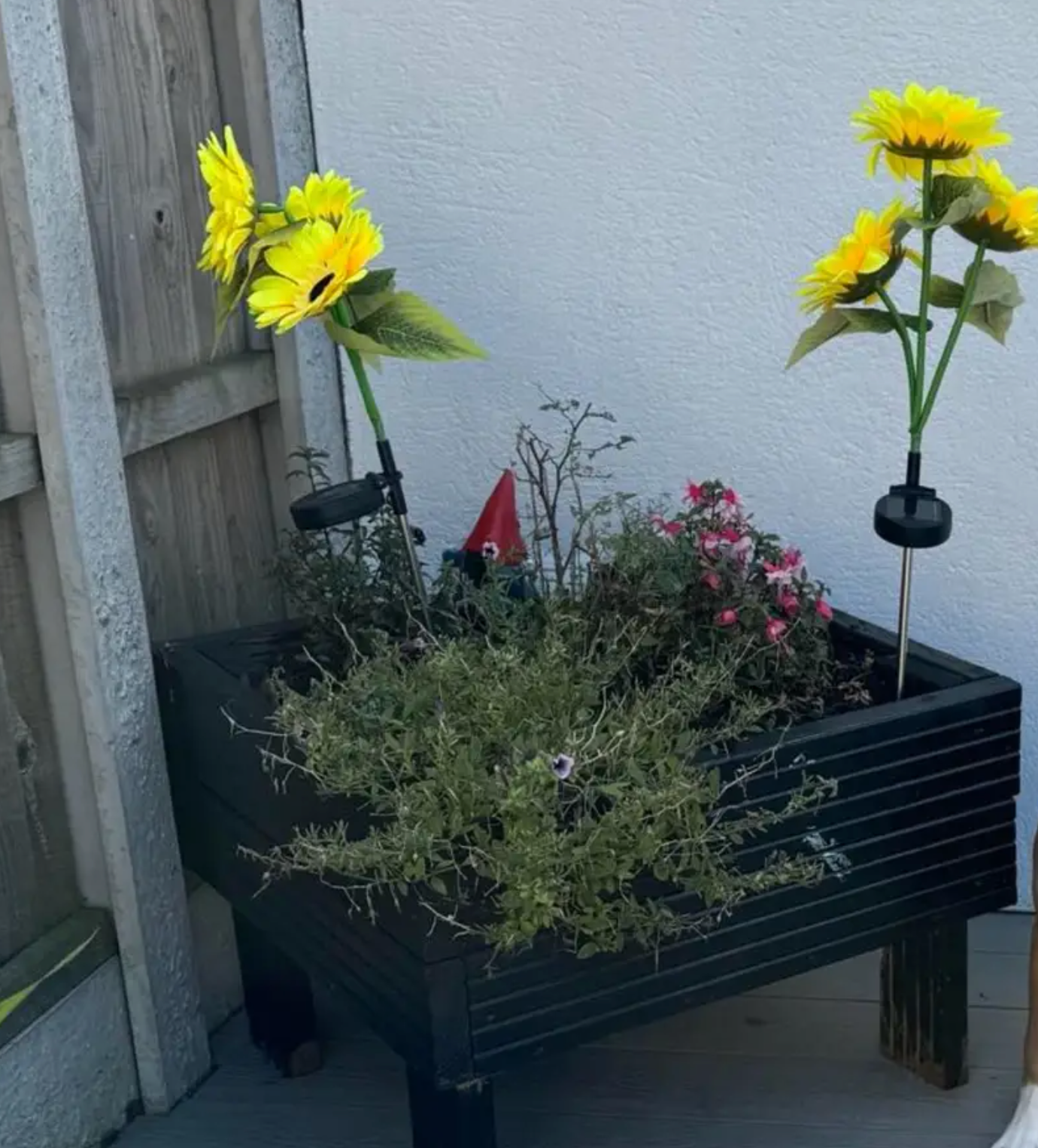Customer sunflower light review image