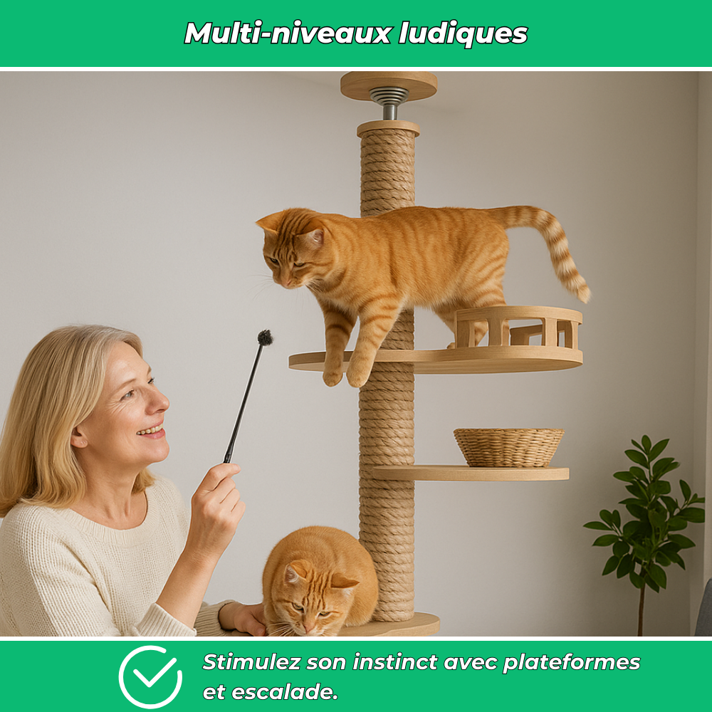 Arbre à chat plafond réglable avec hamac et griffoirs – Condo multi-niveaux pour chat