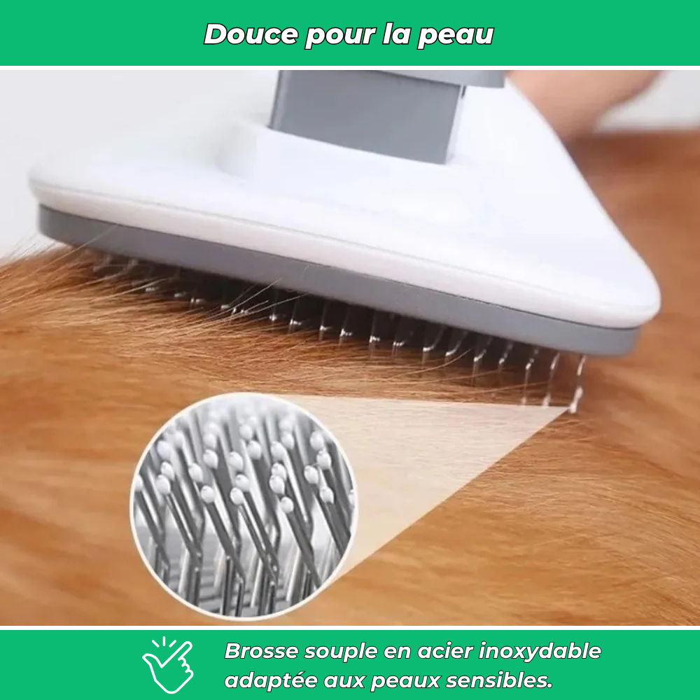 Brosse pour animaux efficace et facile à nettoyer