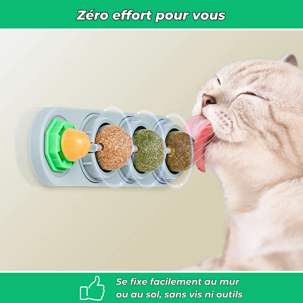 VetiChat – Jouet mural à l’herbe à chat naturelle