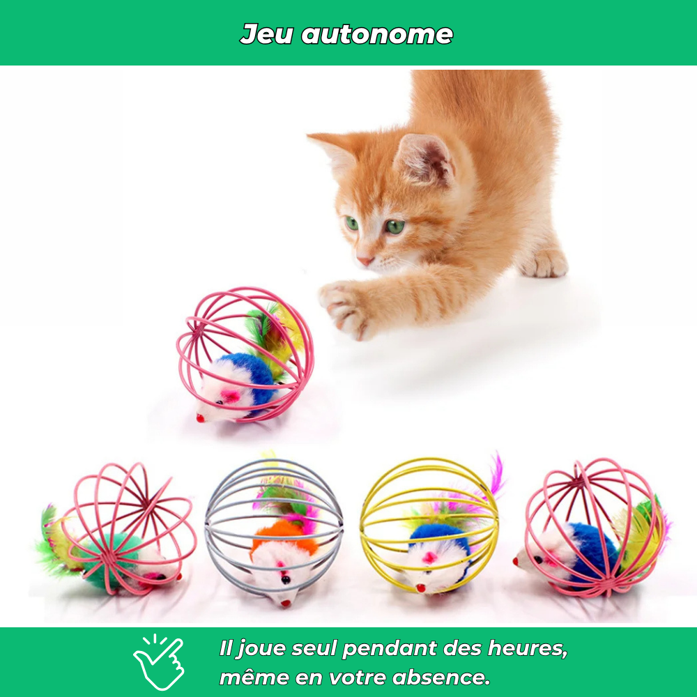 Balle cage interactive avec souris pour chat