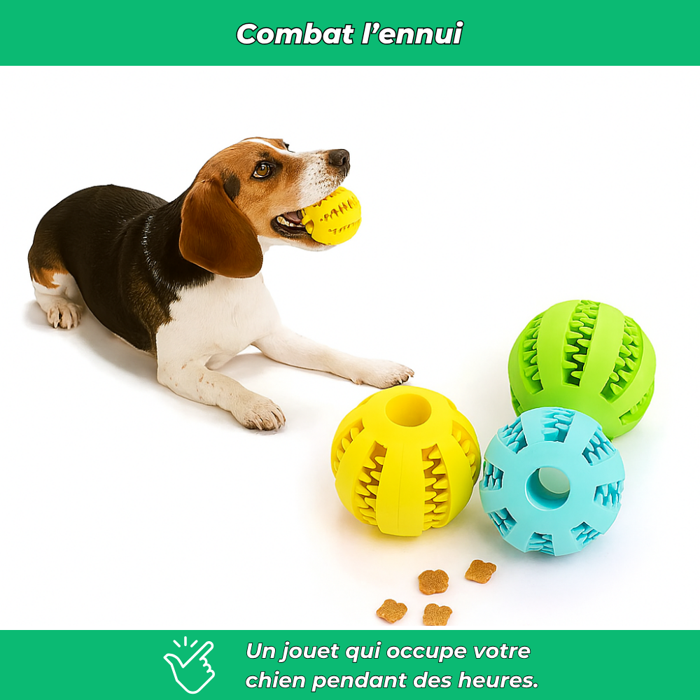 Balle en caoutchouc à mâcher pour chien