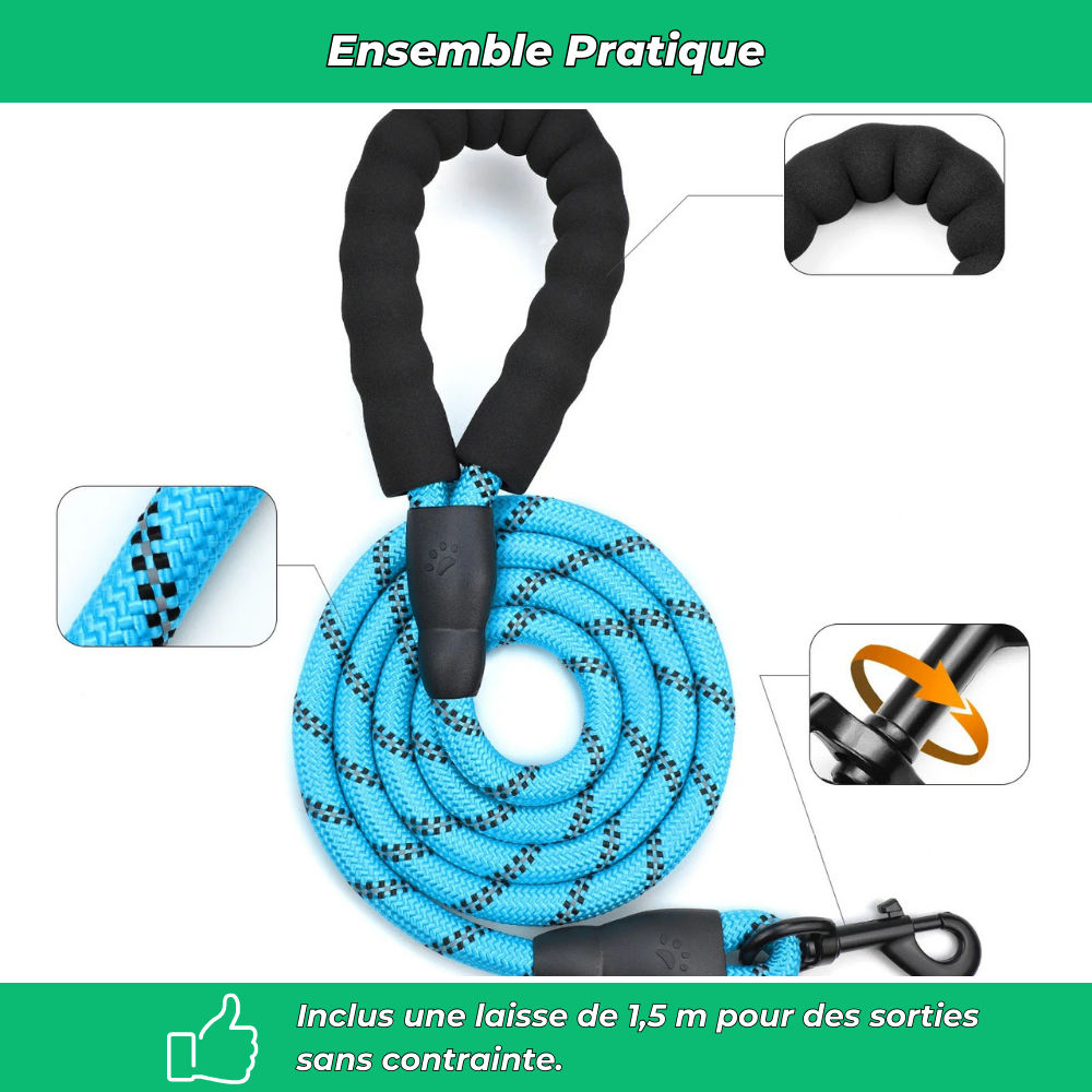 Harnais chien anti-fuite réglable + laisse 1,5 m réfléchissante