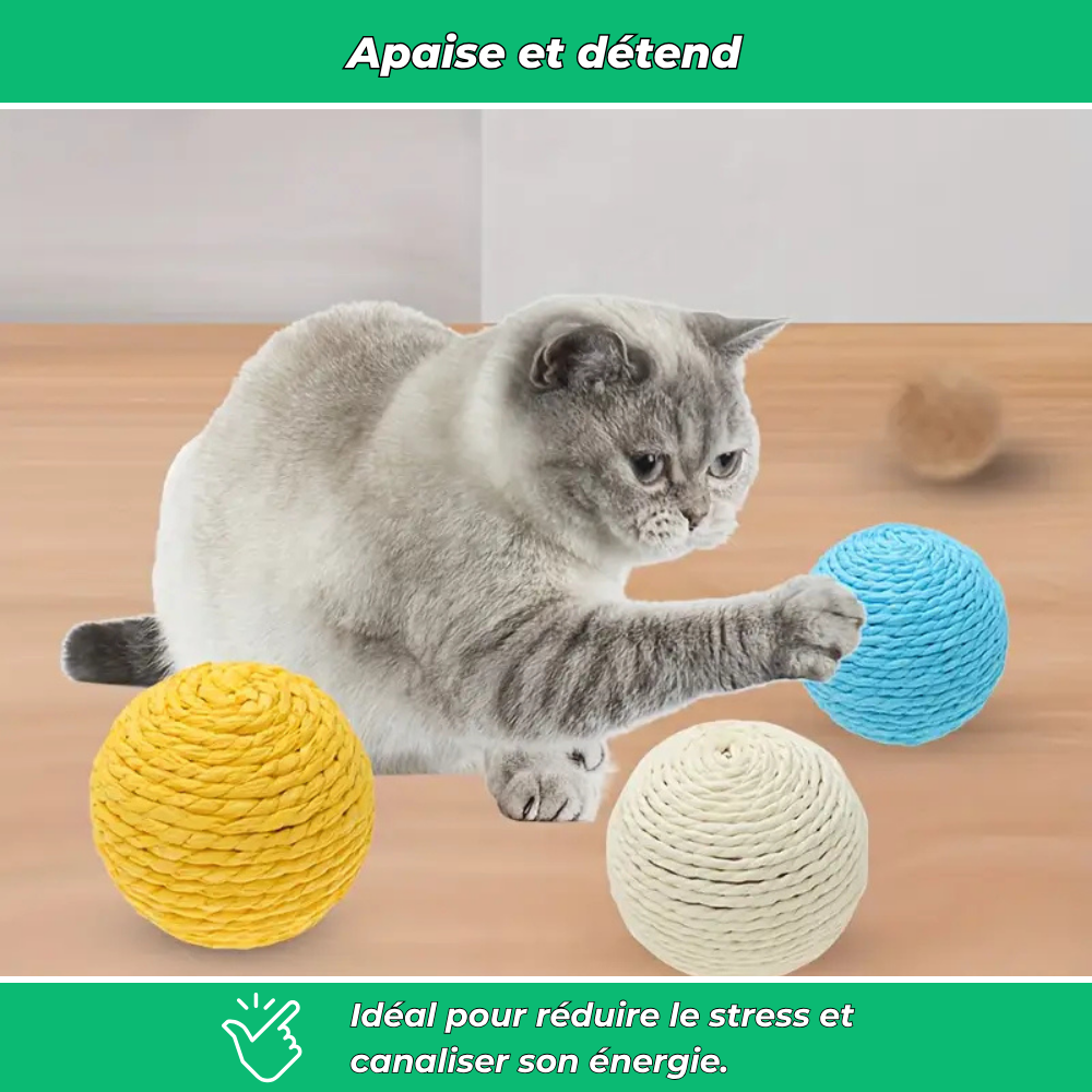 Balle à gratter interactive pour chats