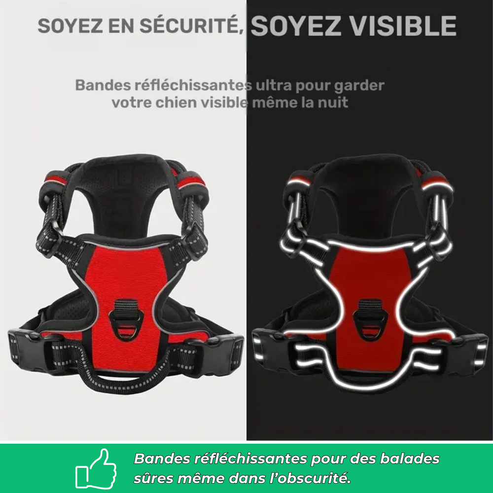 Harnais chien anti-traction réfléchissant avec poignée – Grand chien