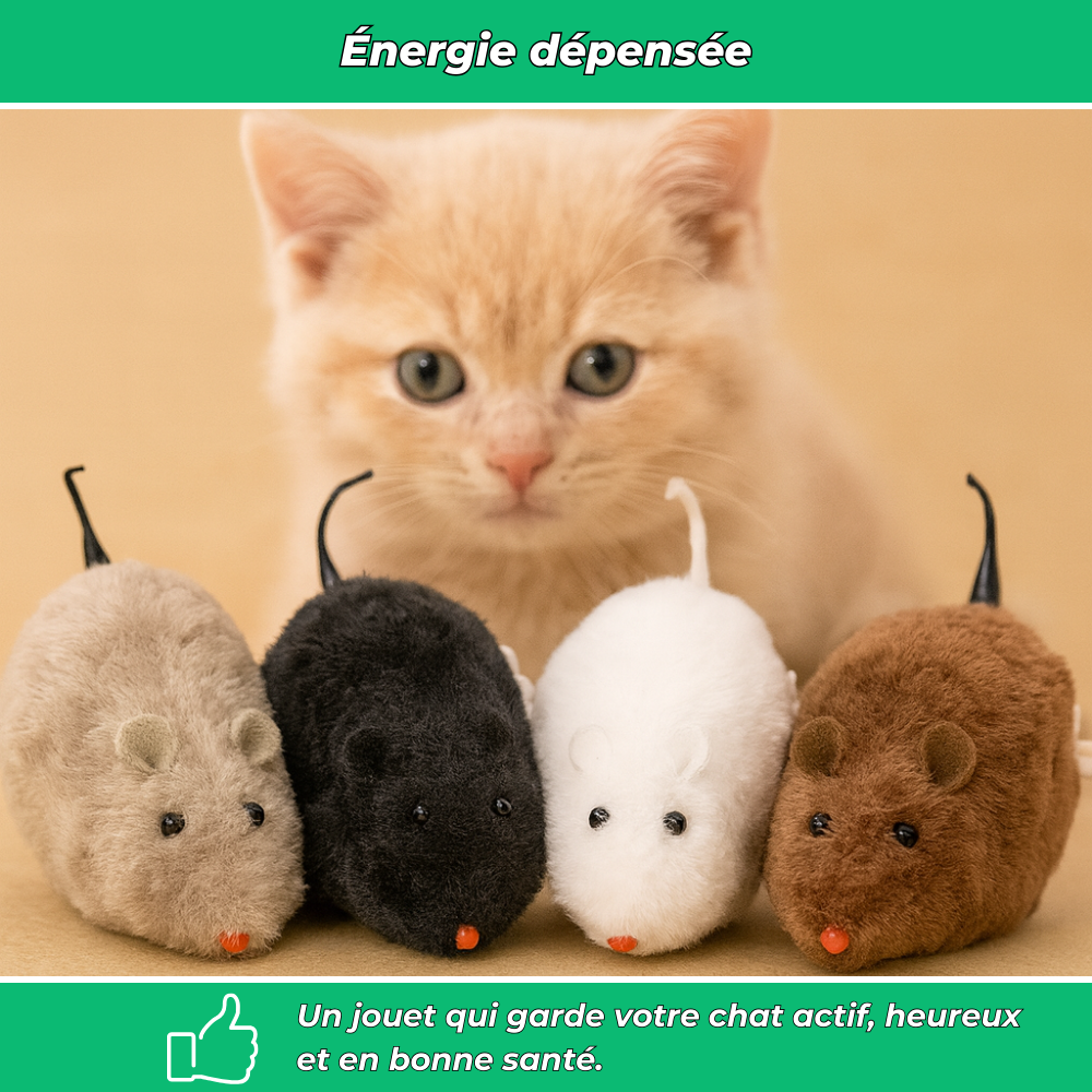 Souris mécaniques jouets pour chat (lot de 4)