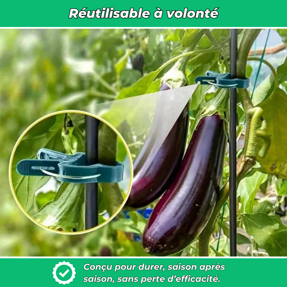 Clip’Vert – 20 attaches de jardin réglables pour tuteur et serre