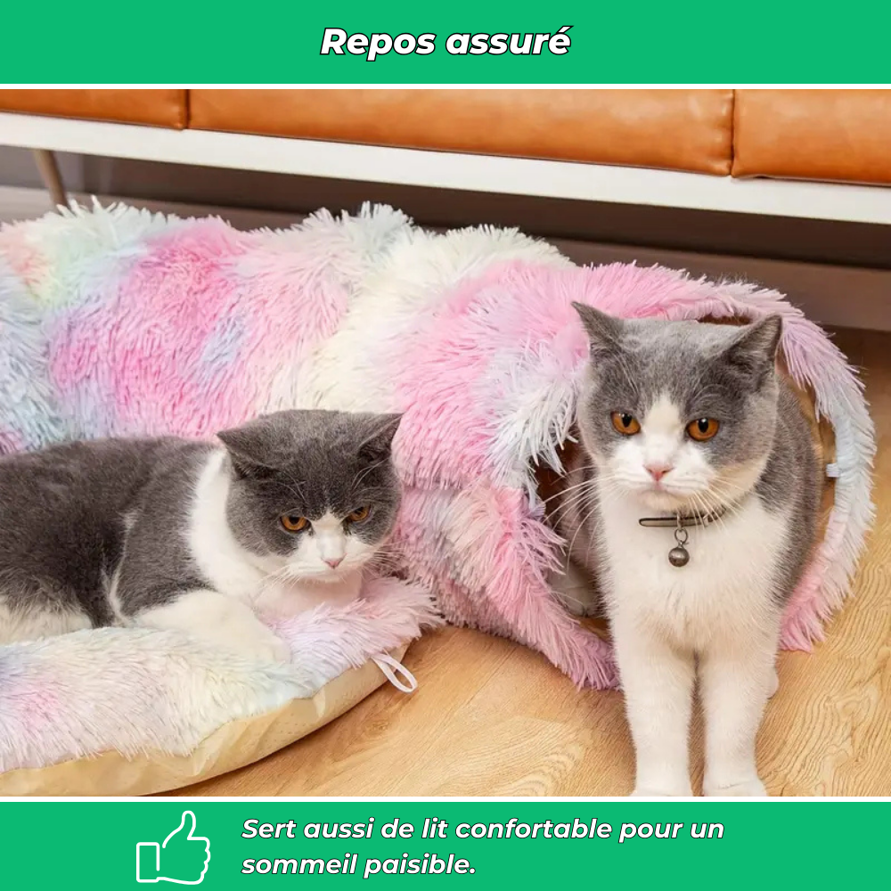 Tunnel pliable en peluche chaud pour chats et petits animaux