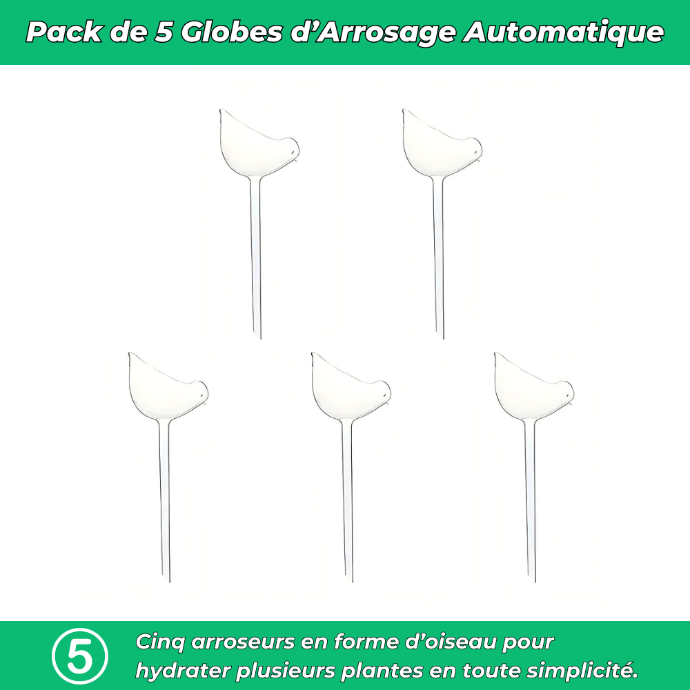 Arrosage automatiques en forme d’oiseau – Hydratation continue pour vos plantes