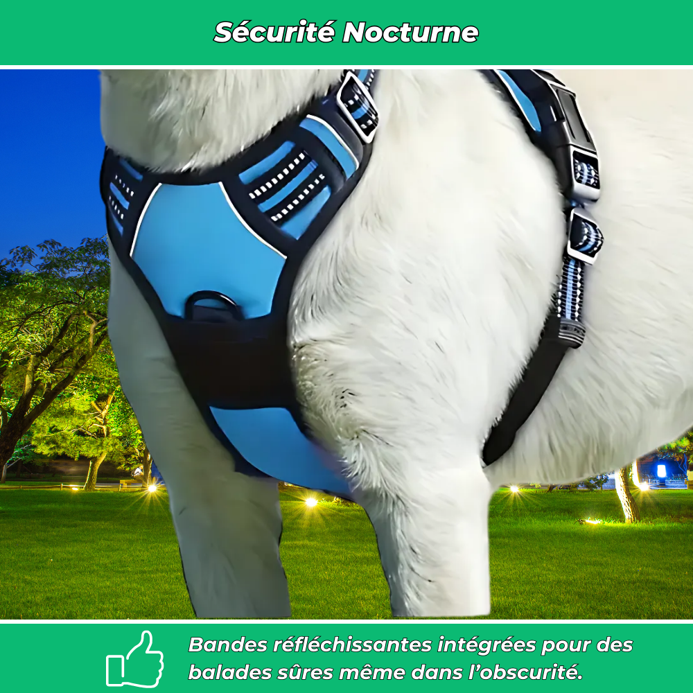Harnais anti-évasion chien + laisse et distributeur – réglable et réfléchissant