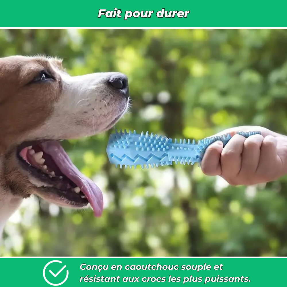 Bâtonnet Molaire en Caoutchouc Souple pour Chiens