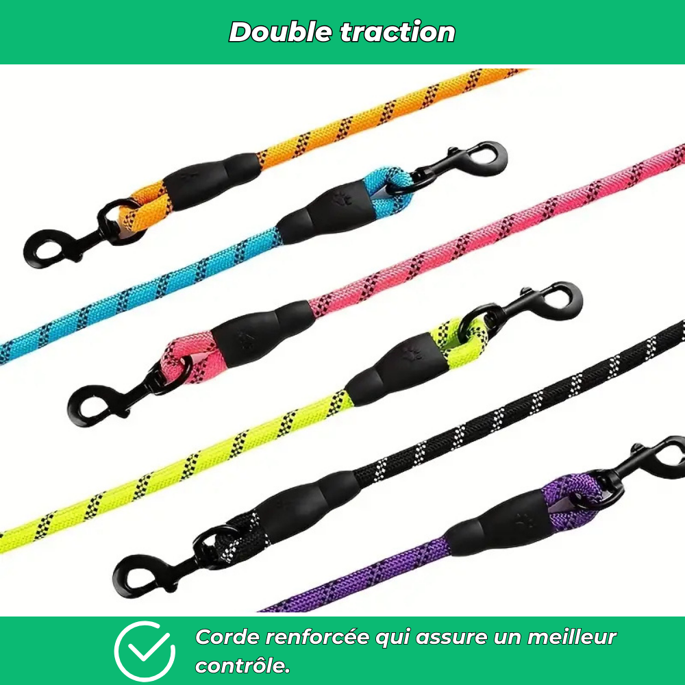 Laisse réfléchissante robuste pour chien – Poignée rembourrée, double traction, sécurité et confort