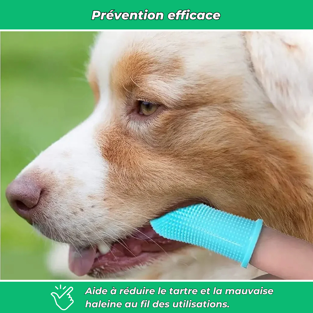 Brosse à dents en silicone pour chiens et chats
