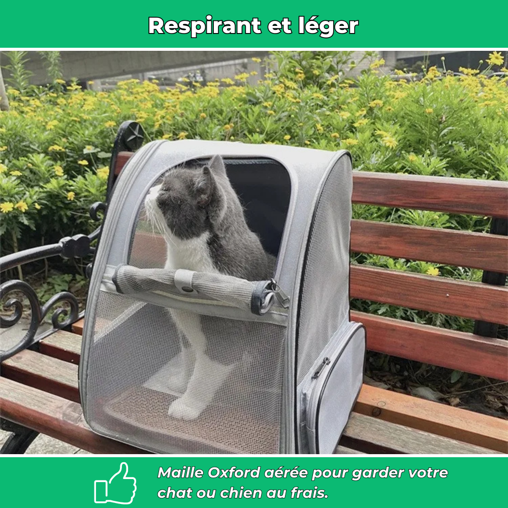 Sac de transport extérieur pour chien et chat – Voyage sécurisé et confortable