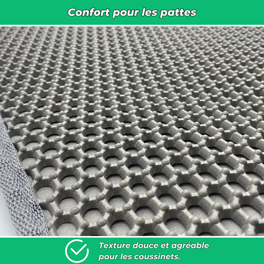 Tapis attrape-litière double couche pour chats