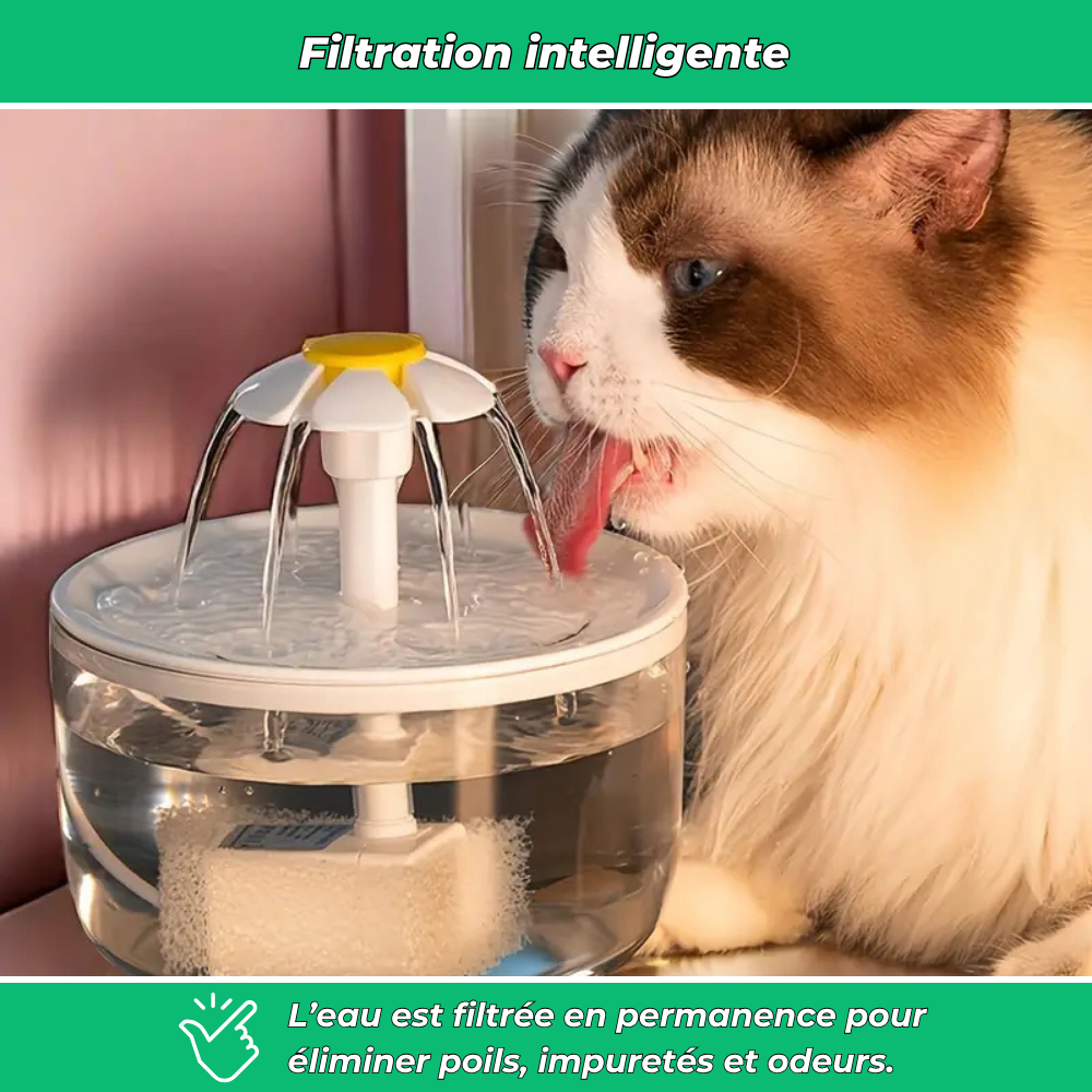 AquaChat - Fontaine filtrante à eau douce pour chats