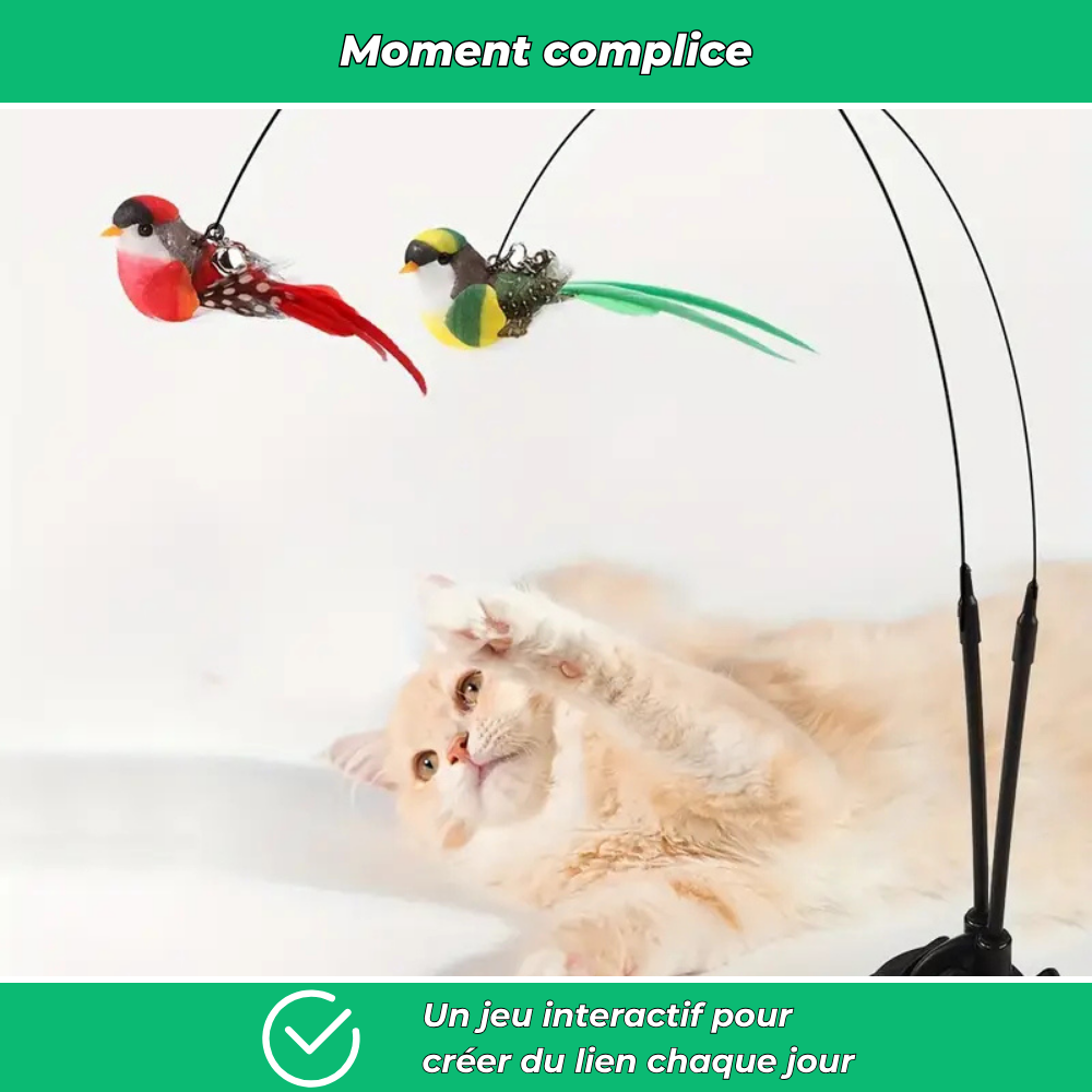 Jouet interactif à oiseau pour chats actifs
