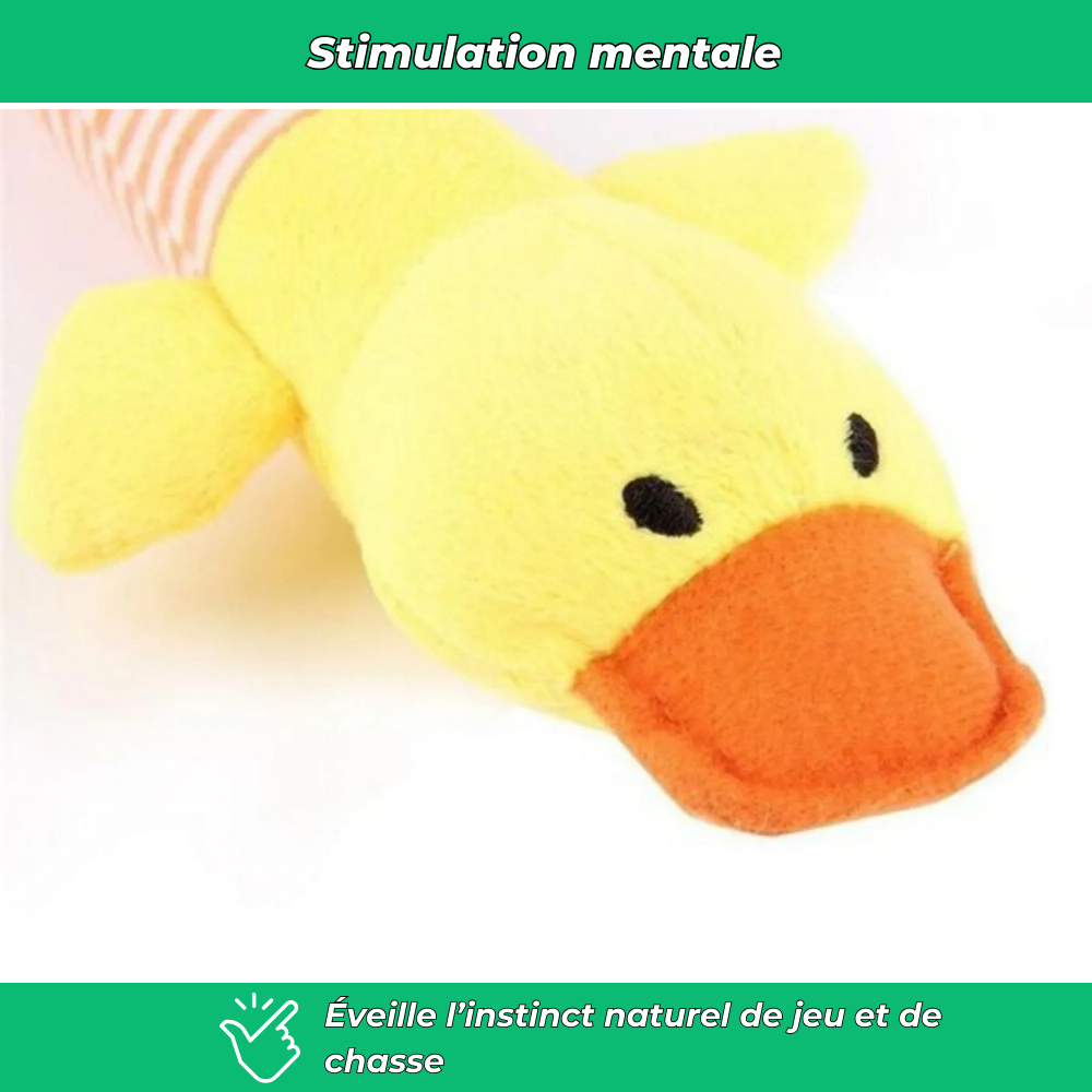 Jouet en peluche grinçant pour animaux